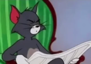 🙀