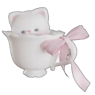 🐱