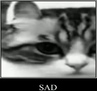 😔