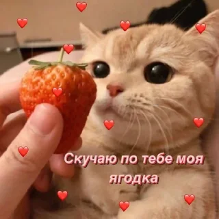 💗