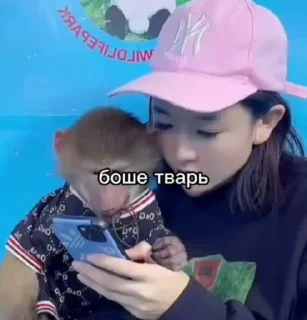 😎