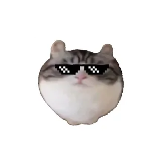 😎