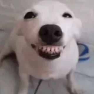 😁