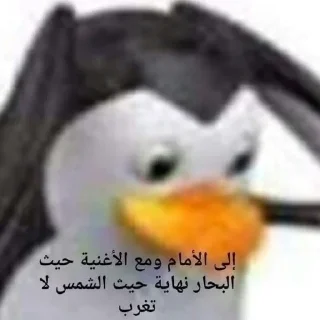 😎