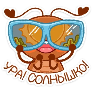 😎