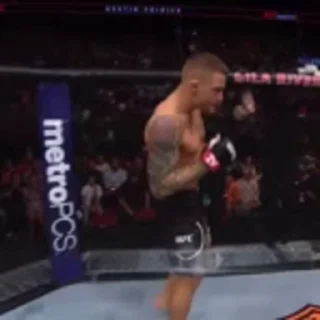 🥊