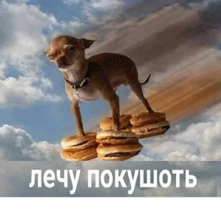 🍽