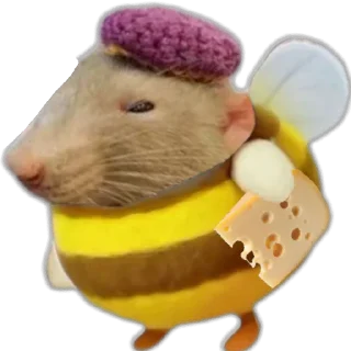 🐁