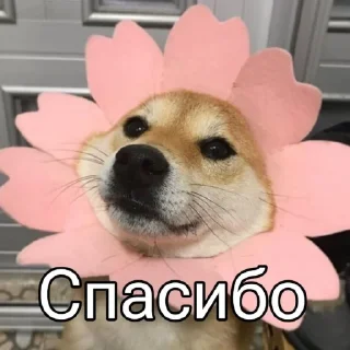 😊