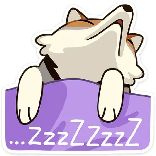 😴
