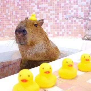 🛀