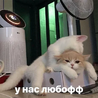❤️
