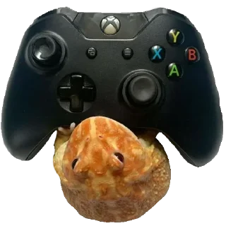 🐸