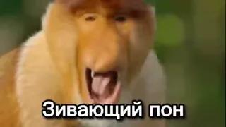 Пон @floralfury :: @fStikBot