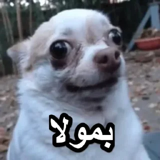 😐