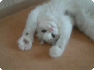 ☺️