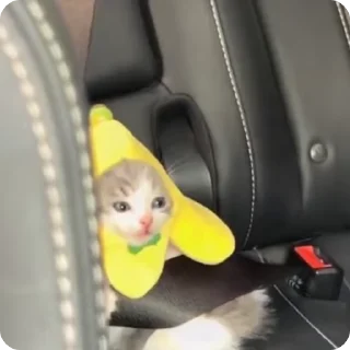 🍌