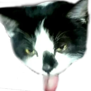 😝