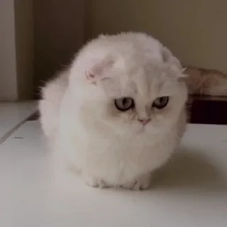 🙁