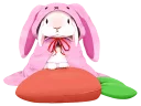 🐰