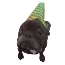 🎉