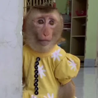 😔