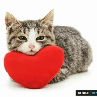 😙