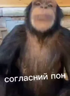 😙