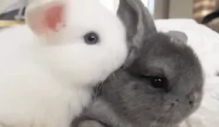 😘