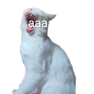 🤯