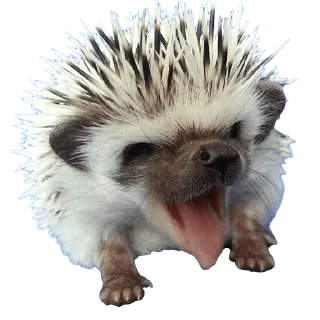 😛