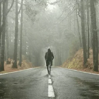 🖤