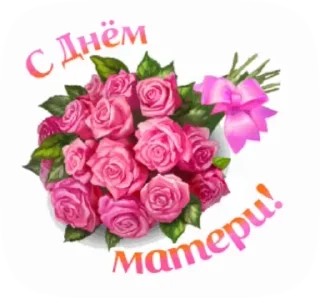🌺
