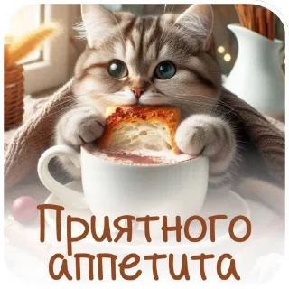 🐱