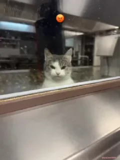 😡