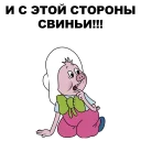 🐷
