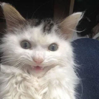 😁