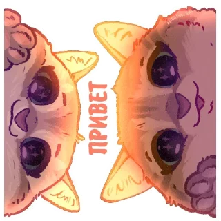 Котики и фразочки @Nyasticks