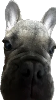 🧐