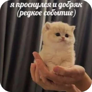 🫥