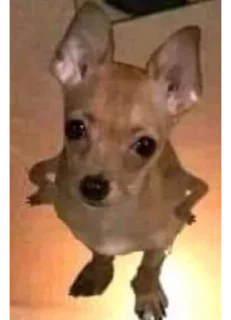 😶