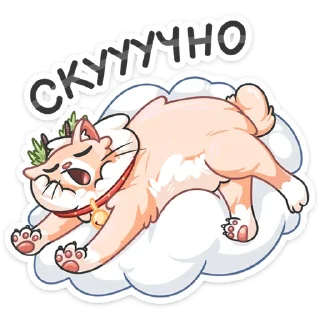 😴