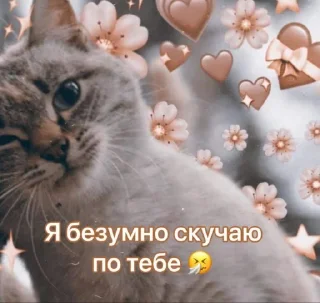 🤎