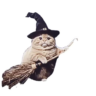 🎩
