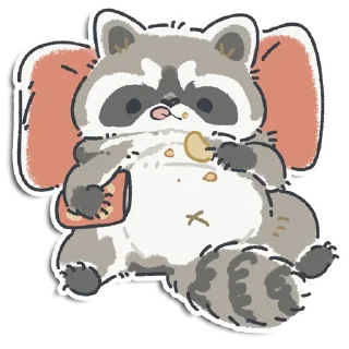 🦝