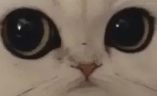 👀