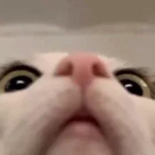 😦