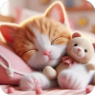 💤