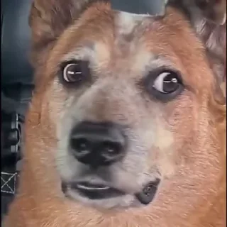 😳
