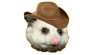🤠